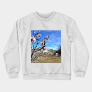 Almond blossom Crewneck Sweatshirt